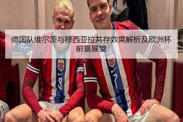德国队维尔茨与穆西亚拉共存效果解析及欧洲杯前景展望